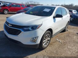 
										2019 Chevrolet Equinox full									