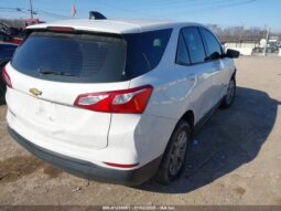 
										2019 Chevrolet Equinox full									