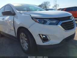 
										2019 Chevrolet Equinox full									