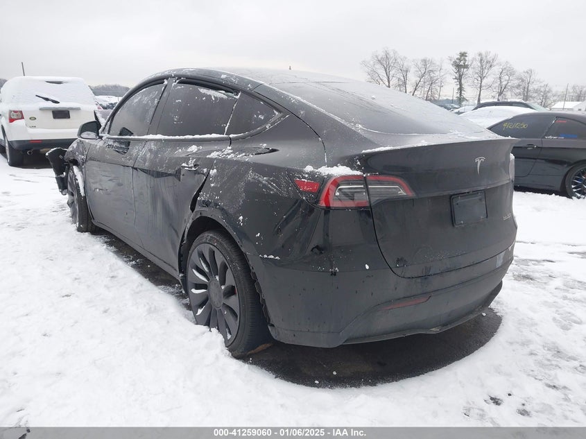2025 Tesla Model y