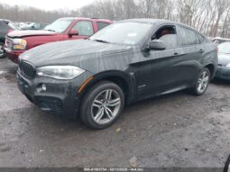 
										2019 BMW X6 full									