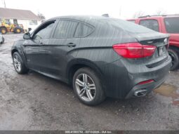 
										2019 BMW X6 full									