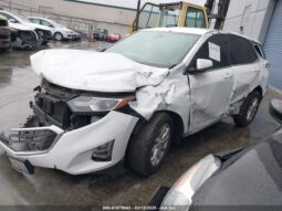 
										2019 Chevrolet Equinox full									