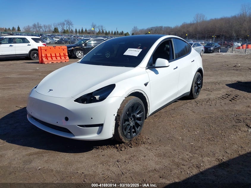 2021 Tesla Model y