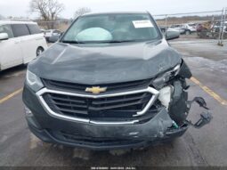 
										2019 Chevrolet Equinox full									