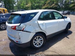 
										2019 Chevrolet Equinox full									