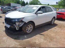 
										2019 Chevrolet Equinox full									