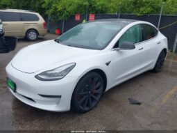 
										2019 Tesla Model 3 full									