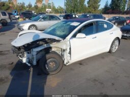
										2019 Tesla Model 3 full									