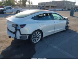 
										2019 Tesla Model 3 full									