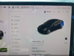 
										2019 Tesla Model 3 full									