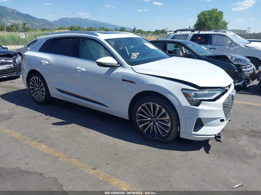 2019 Audi E-tron