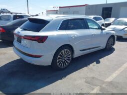 
										2019 Audi E-tron full									
