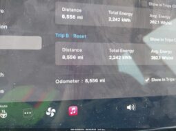 
										2025 Tesla Model 3 full									