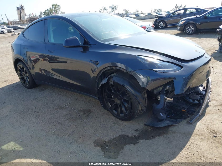 2025 Tesla Model y
