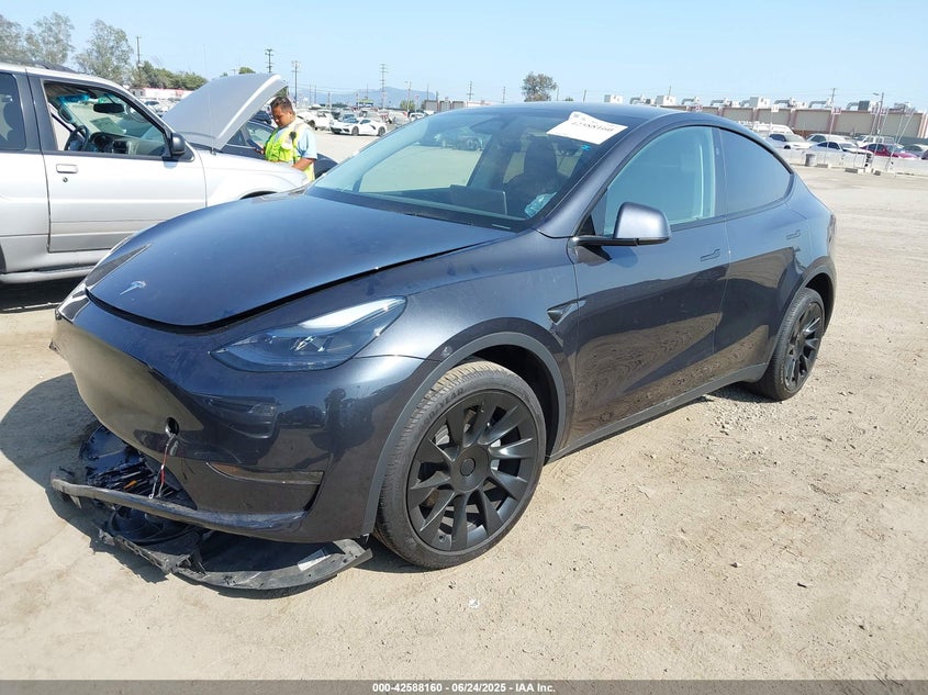 2025 Tesla Model y