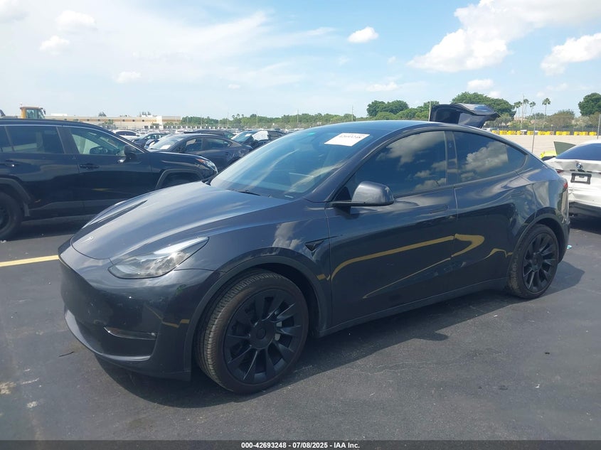 2024 Tesla Model y