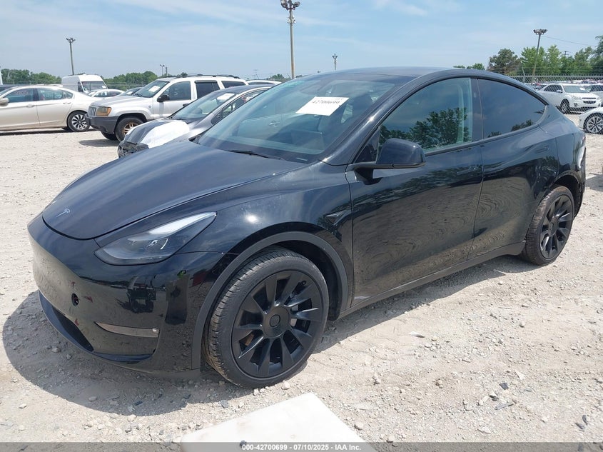 2023 Tesla Model y