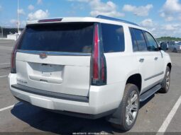 
										2019 Cadillac Escalade full									