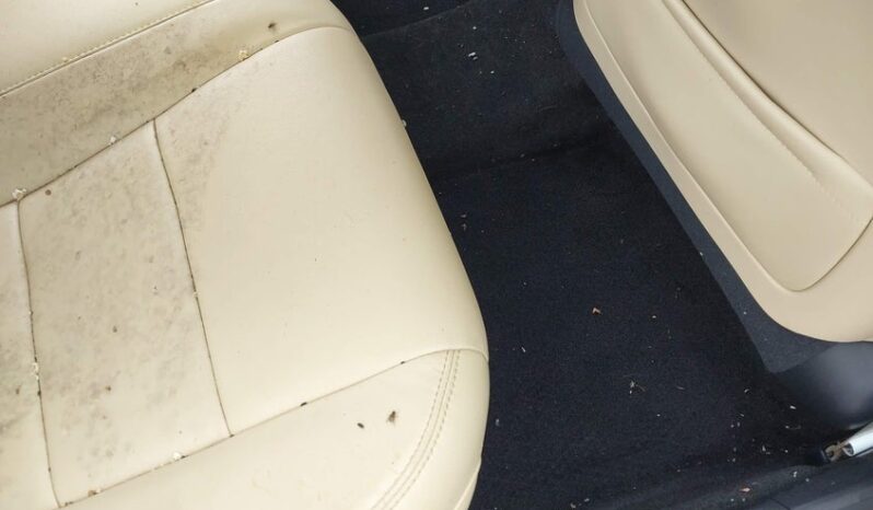 
								2013 Toyota Avalon full									