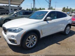 
										2019 BMW X6 full									