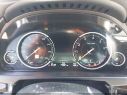 
										2019 BMW X6 full									