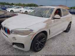 
										2017 BMW X6 full									
