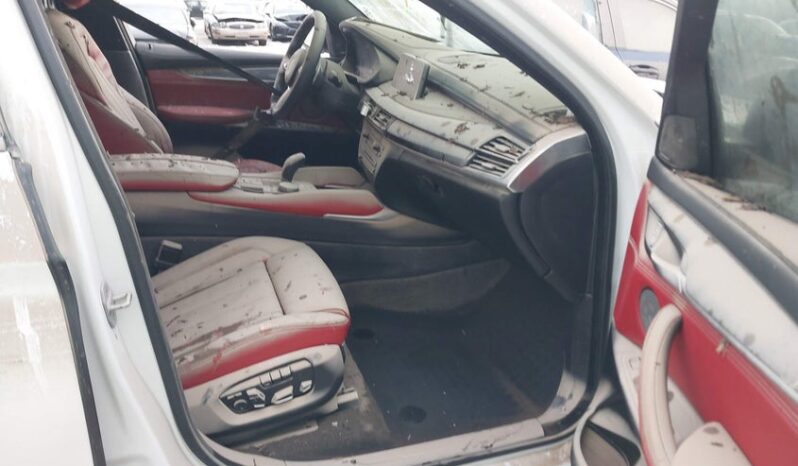 
								2017 BMW X6 full									