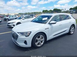 
										2019 Audi E-tron full									