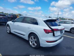 
										2019 Audi E-tron full									