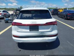 
										2019 Audi E-tron full									