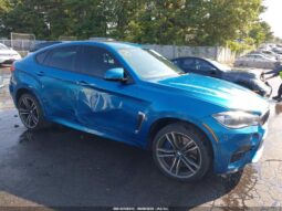 
										2016 BMW X6 full									