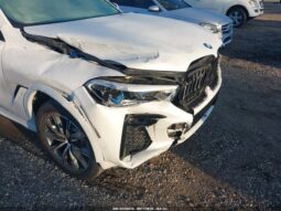 
										2022 BMW X6 full									
