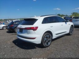 
										2022 Audi E-tron full									