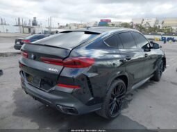 
										2025 BMW X6 full									