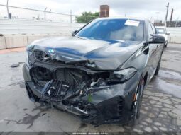 
										2025 BMW X6 full									