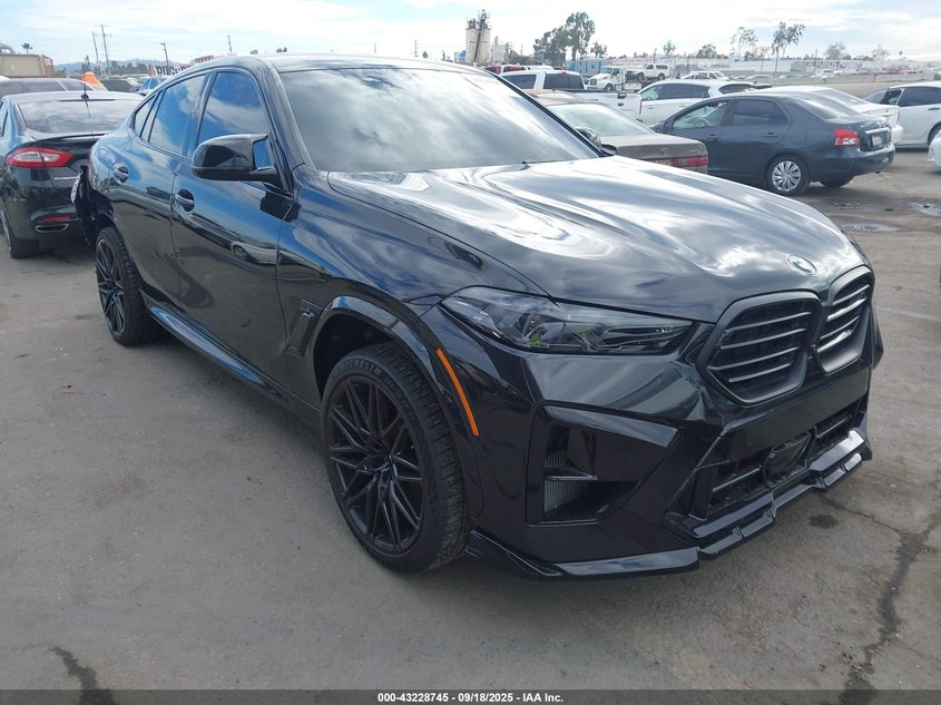 2025 BMW X6