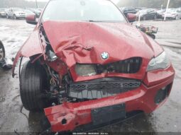 
										2013 BMW X6 full									
