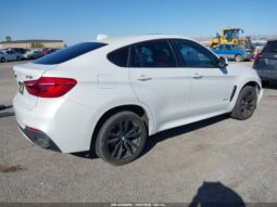 
										2018 BMW X6 full									