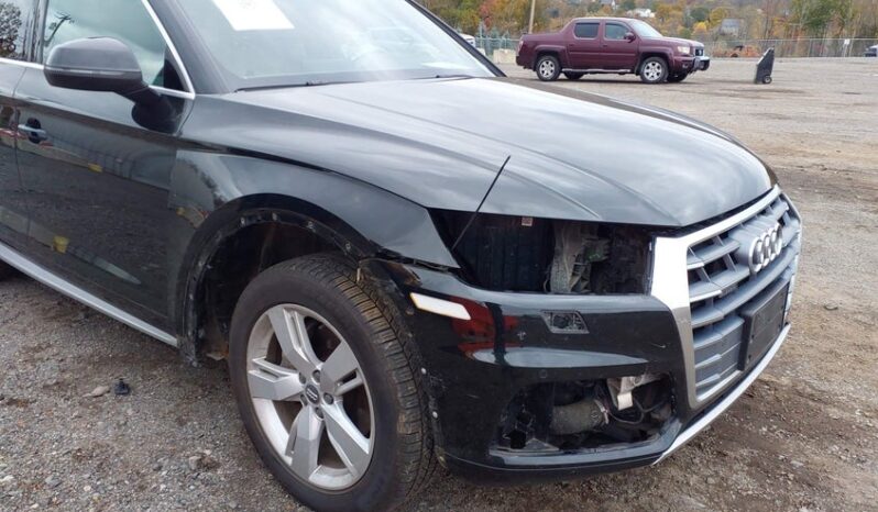 
								2019 Audi Q5 full									