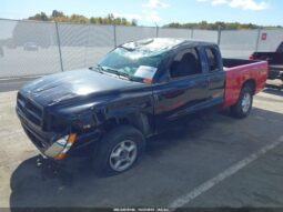 
										1999 Dodge Dakota full									