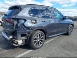 
										2019 BMW X5 full									