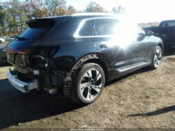 
										2022 Audi E-tron full									