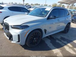 
										2024 BMW X5 full									