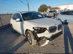 
										2019 BMW X3 full									