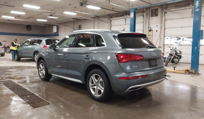 
								2019 Audi Q5 full									