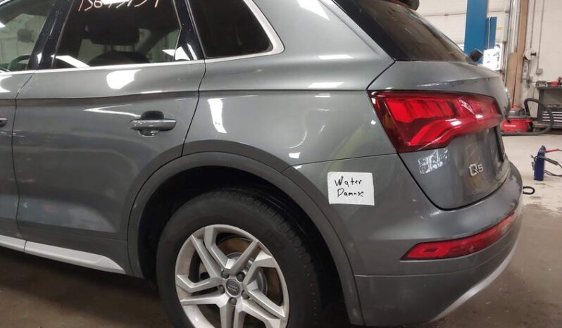 
								2019 Audi Q5 full									