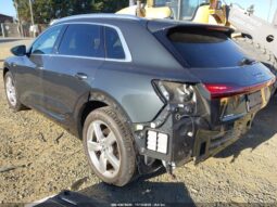 
										2019 Audi E-tron full									