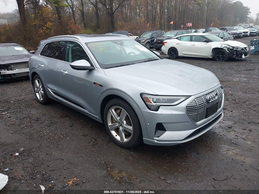 2019 Audi E-tron