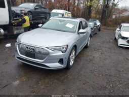 
										2019 Audi E-tron full									